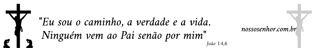 Nosso Senhor Jesus Cristo é a Perfeição da Vida Cristã